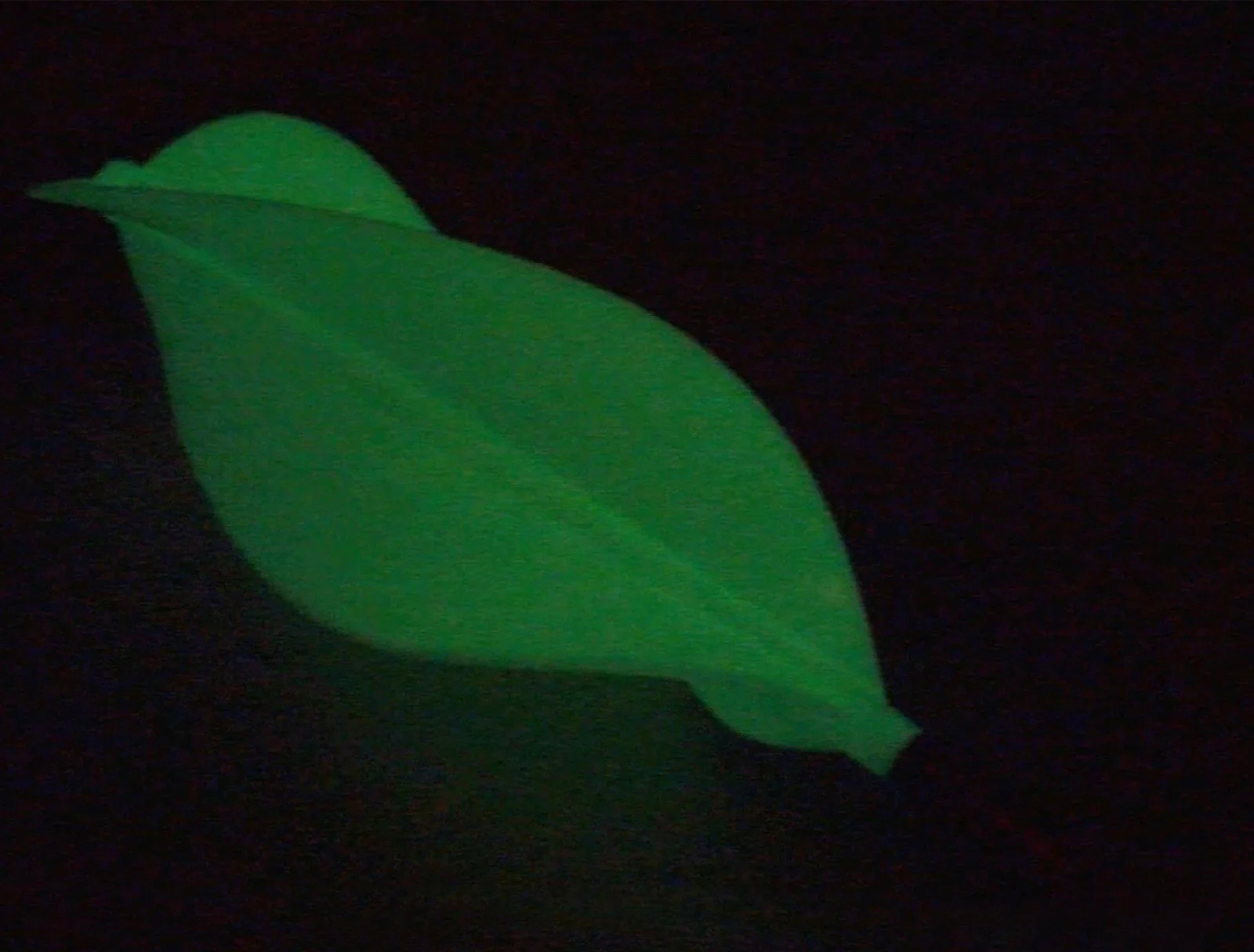 Super Rod SRGLIDE-P Cable Rod Glo Glider, Rod kit Accessory, Glow in The Dark - Image 3